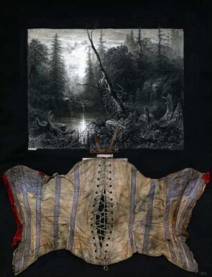 NACHTFALTER II (ROTKANTENFLÜGLER)