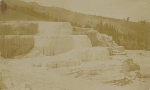 Yellowstone: Mammoth Hot Springs - The Minerva Terrace