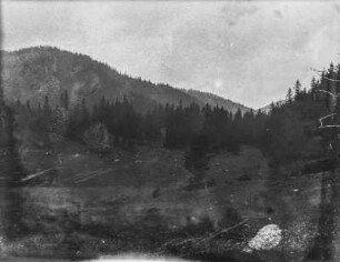 Am Waldrand : Bewaldete Berge