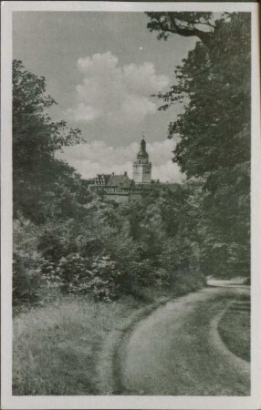 Ansichtskarte: Museum Burg Falkenstein im Selketal/Harz