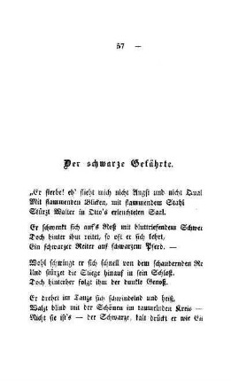 Der schwarze Gefährte