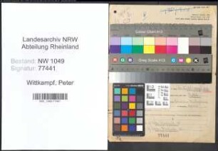 Entnazifizierung Peter Wittkampf , geb. 24.11.1870 (Arzt)