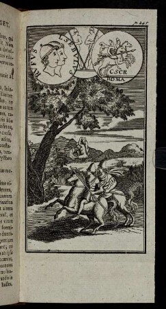 p. 245.