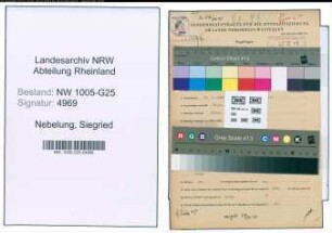Entnazifizierung Siegried Nebelung , geb. 23.02.1902 (Kaufm.Angestellter)