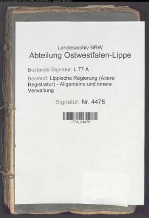 Nachrichterdienst und Wrasenmeistereien zu Lemgo, Detmold, Bösingfeld und Silixen, Bd. 1