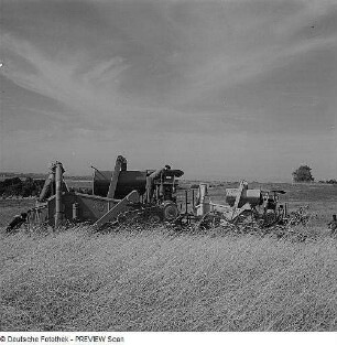 Landwirtschaft