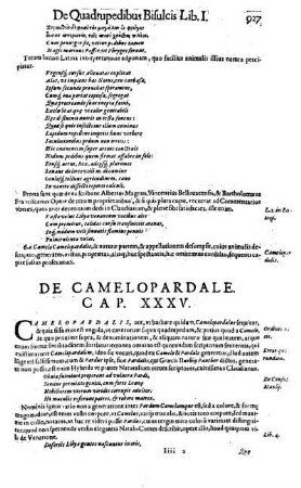 De Camelopardale. Cap. XXXV.