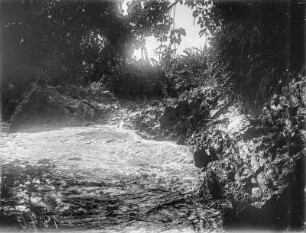 Flusslandschaft : Blick vom Ufer des Aruwimi auf den Fluss und Wasserfälle