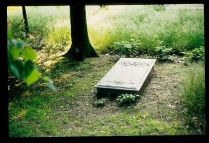 Friedhof Zeesen 20.6.84.