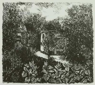 Schrebergarten