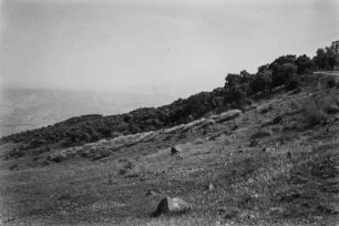 Berghang : Blick auf die untere Grenze eines immergrünen Eichenwaldes bei Aine Zebda.