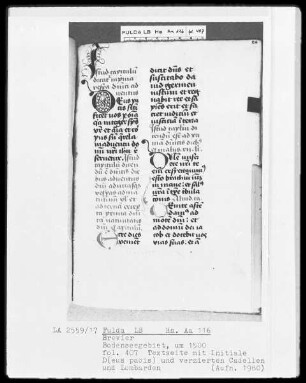 Brevier — Initiale D(eus pacis), Folio 407recto