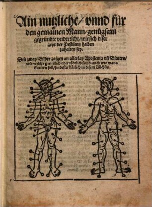 Ain nutzliche, unnd für den gemainen Mann, genügsam gegründte underricht, wie sich diser zeyt der Pestilentz halben zuhalten sey ...