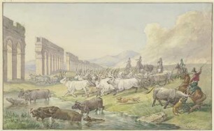 Römische Bauern treiben eine Herde Ochsen und Büffel durchs Wasser