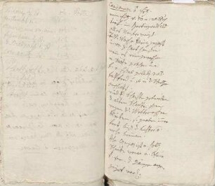 Itinerar einer Reise nach Colmar, über Erz im Hertinger Wald und Notizen über Krapp von Karoline Luises Hand.