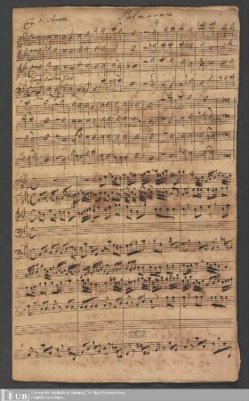 Ms. Ff. Mus. 1130 - Palmarum