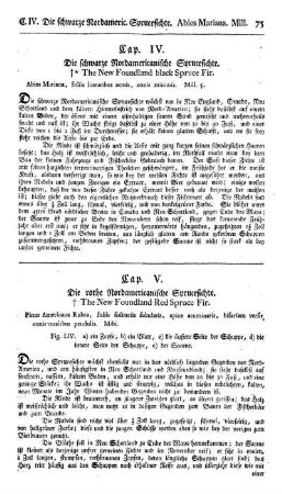 Cap. IV. Die schwarze Nordamericanische Sprucefichte. Abies mariana. Mill.