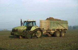 Fotografie: Raupentraktor, Gummiraupenlaufwerk, Transportgerät, Muldenkipper, Zuckerrübe