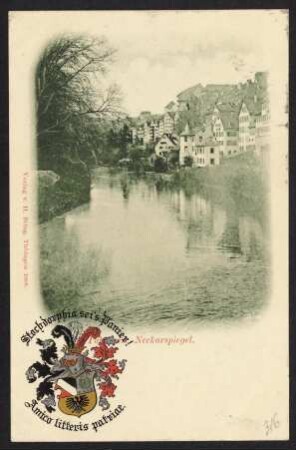 316, Tübingen, Neckarspiegel. Stochdorphia sei's Panier!