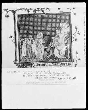Bible Historiale — Jakob wird von Joseph dem Pharao vorgestellt, Folio 36verso