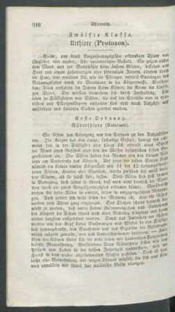 Zwoelfte Klasse. Urthiere (Protozoa).