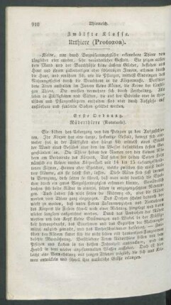 Zwoelfte Klasse. Urthiere (Protozoa).