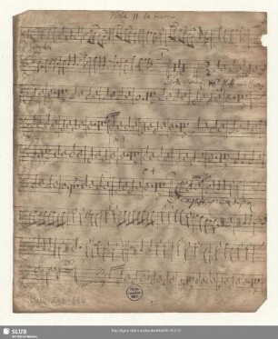 Viola II. da braccio.