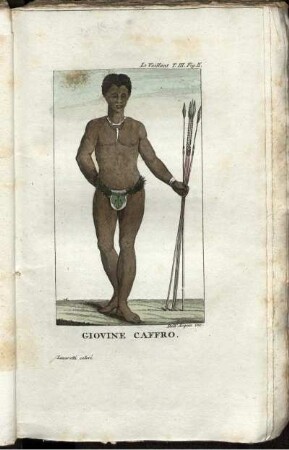 Giovine Caffro.