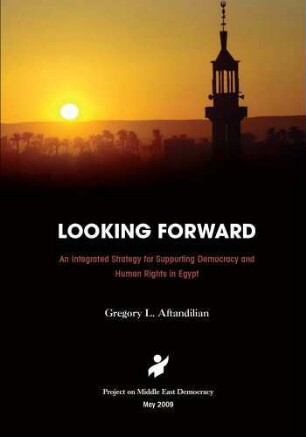 Looking forward : an integrated strategy or supporting democracy and human rights in Egypt