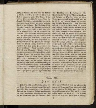 Tabula XIX. Der Esel... - Tabula XX. Das Trampelthier...