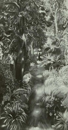 Waldweg