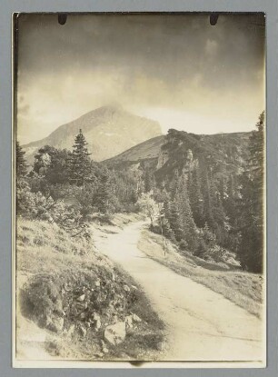 Am Weg zur Alpspitze