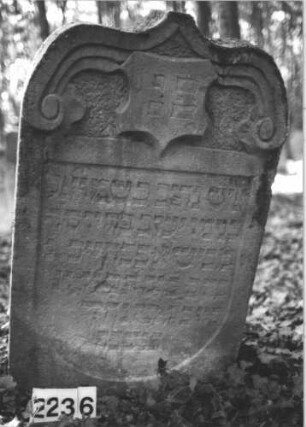 Grabstein 2236