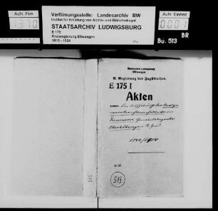 Allmanden und Realgemeinderechte zu Oberböbingen und in der Teilgemeinde Zimmern