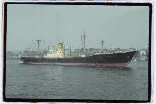 Blankenstein (1956), Frachtschiff (reefer), Norddeutscher Lloyd, Bremen, Bau-Nr. 857