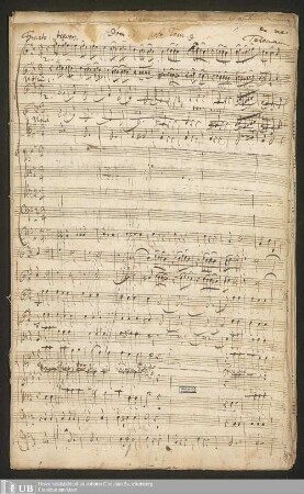 Ms. Ff. Mus. 1127 - Dom: VI. post Trin.
