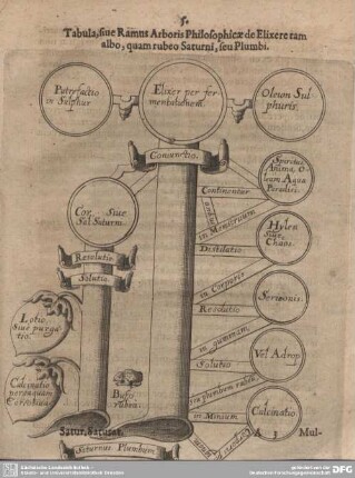 Tabula, sive Ramus Arboris Philosophicae de Elixere tam albo, quam Saturni, seu Plumbi.