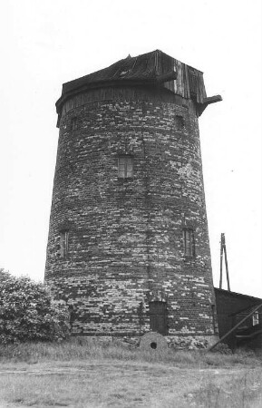Pflückuff-Mehderitzsch. Turmholländer