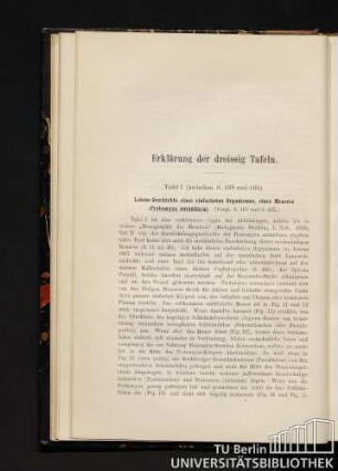 Erklärung der dreissig Tafeln.