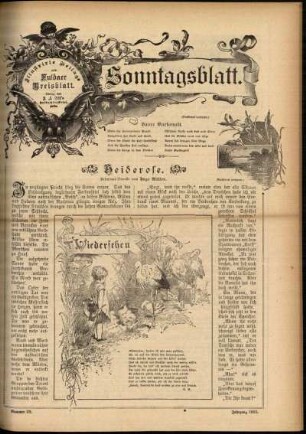 Ausgabe vom Sonntag, den 21. Juli 1895.