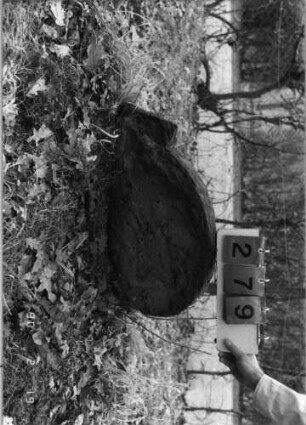 Grabstein 279