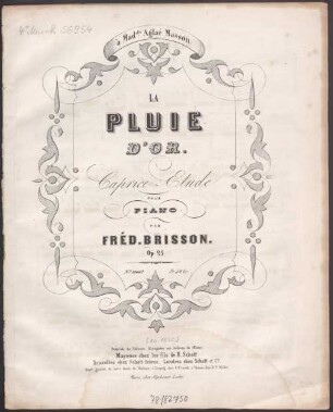 La pluie d'or : caprice-étude pour piano ; op. 25