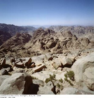 Am Mosberg - Sinai