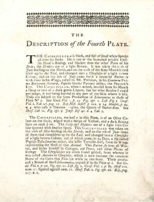 The Description of the Fourth Plate