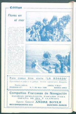 Flores en el mar [Fotografías]