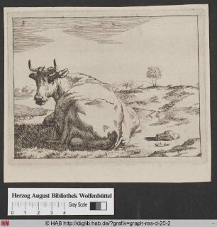 Eine liegende Kuh inmitten einer Landschaft.