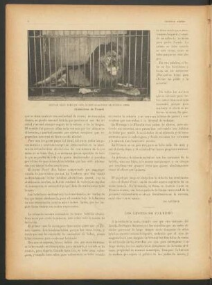 Los leones de Palermo