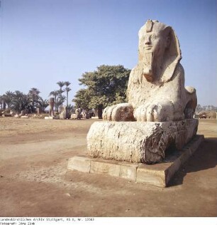 Ägypten: Memphis