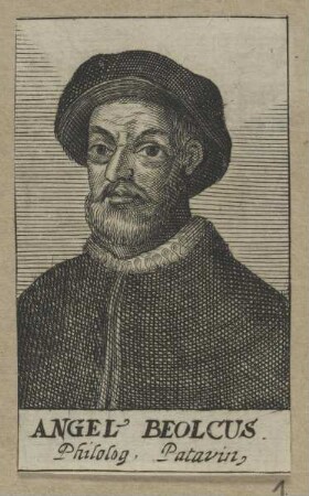 Bildnis des Angelus Beolcus