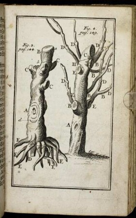 Fig. 3. pag. 144. - Fig. 4. pag. 149.